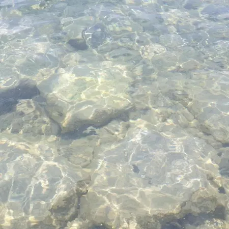 Oyster Limassol