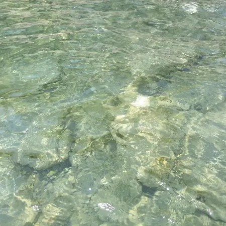 Oyster * Limassol